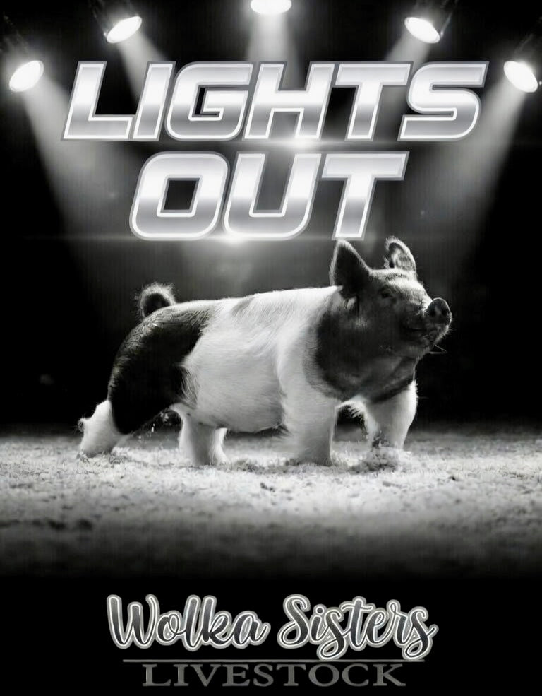 LIGHTS OUT