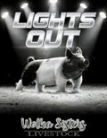LIGHTS OUT