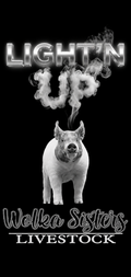 LIGHT’N UP